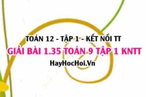 Giải 1.35 Toán 12 tập 1 SGK Kết nối tri thức